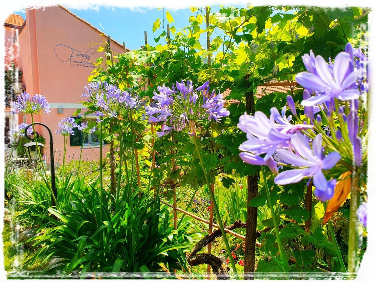 Casa Vacanze Family Albisola Superiore Exteriér fotografie