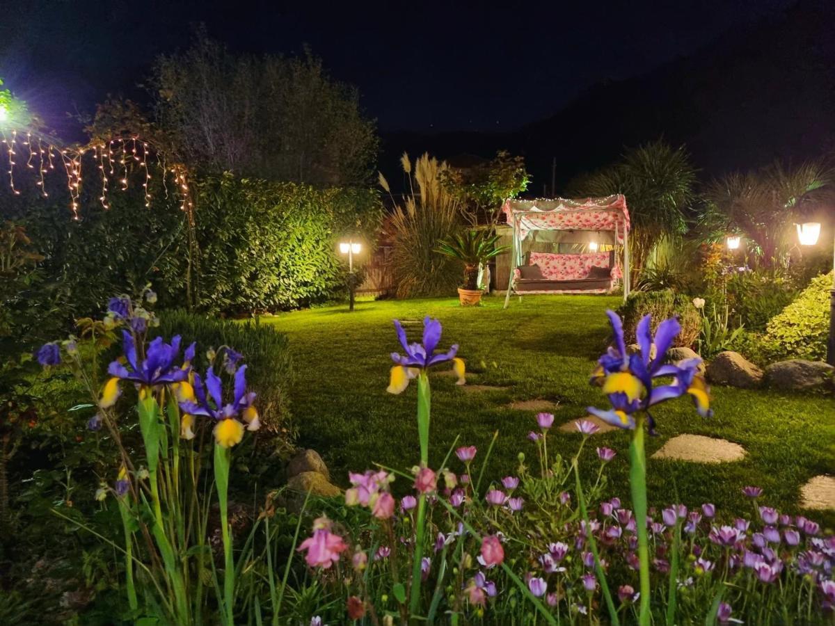 Casa Vacanze Family Albisola Superiore Exteriér fotografie