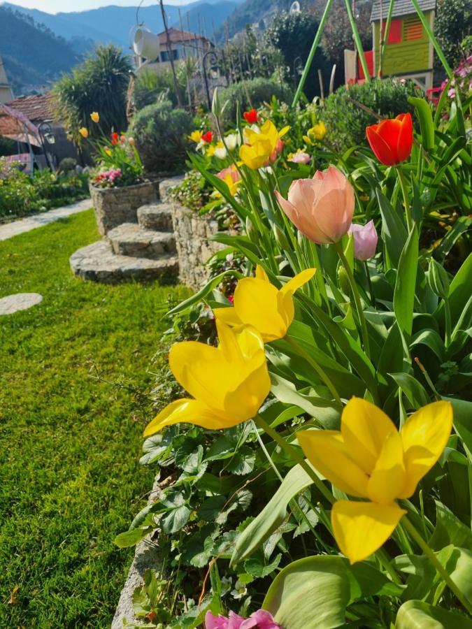 Casa Vacanze Family Albisola Superiore Exteriér fotografie