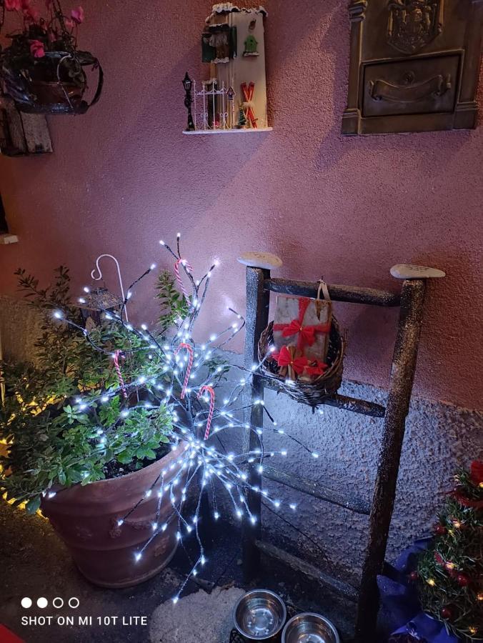 Casa Vacanze Family Albisola Superiore Exteriér fotografie